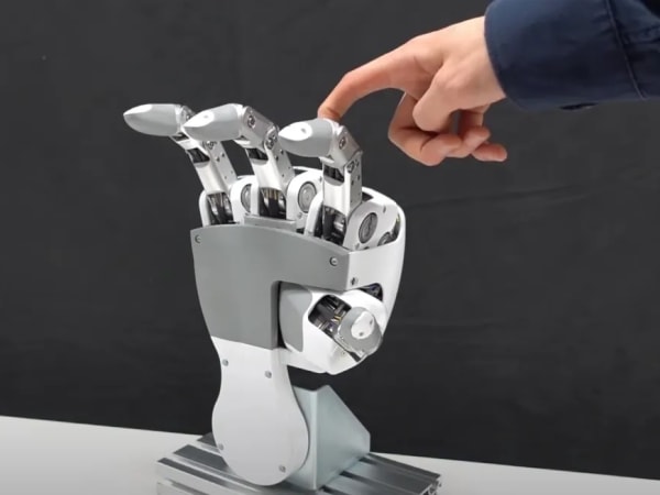 Torobo Hand 1