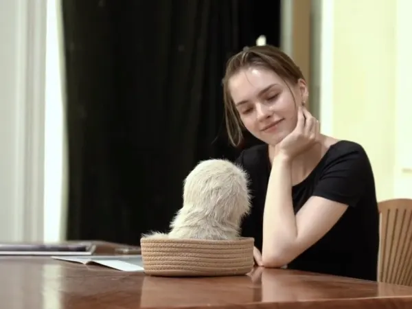 Kakaloom 4