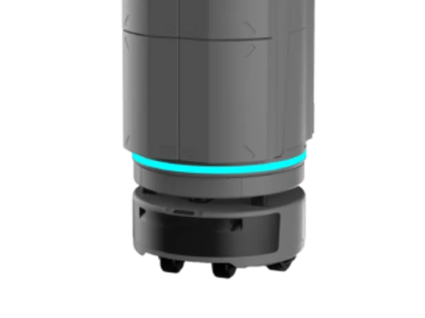 Temi Go Pro