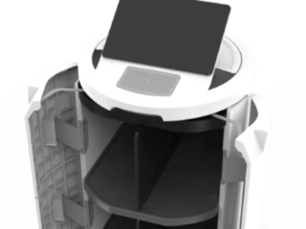 Temi Go Pro 1