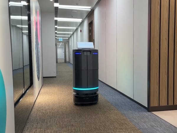 Temi Go Pro 5