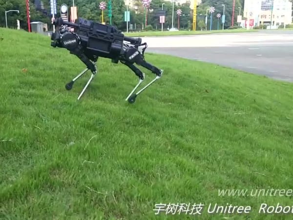 Unitree Laikago 2