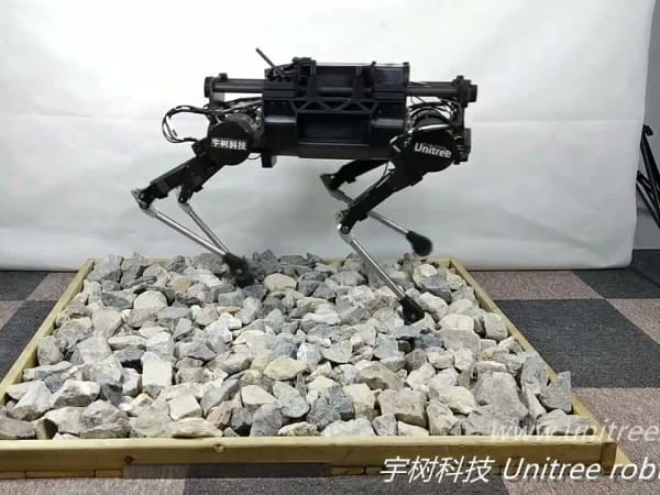 Unitree Laikago 6
