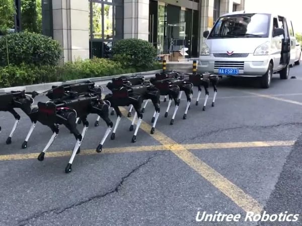 Unitree Laikago 8