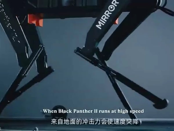 Black Panther II 2