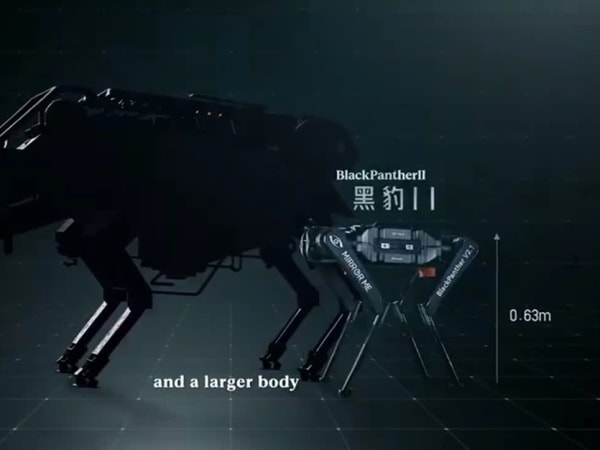 Black Panther II 4
