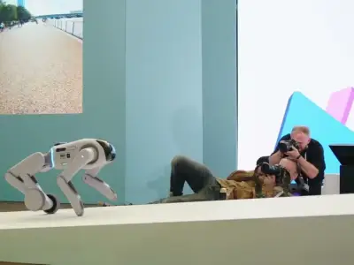 T1