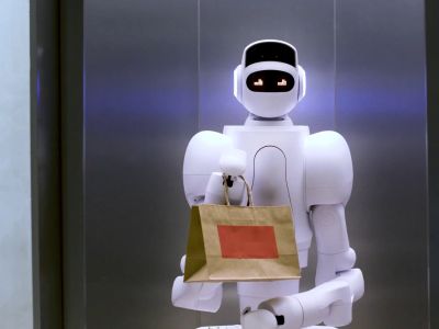 Aeo - Aeolus Robotics robot model