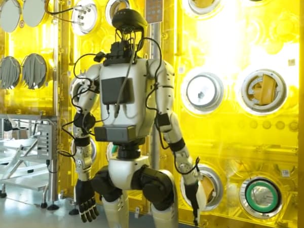Hoxo Robot 6