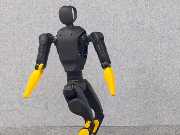 AgiBot X2-N 4