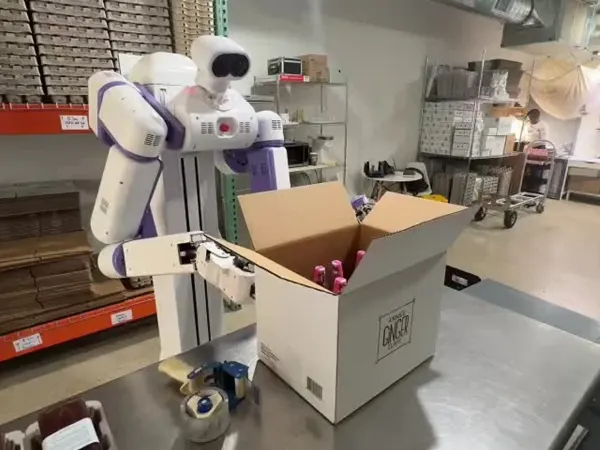 Reflex Humanoid 2