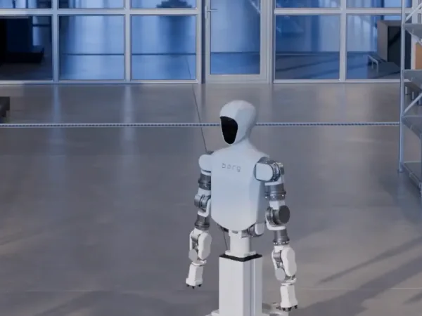 Borg 01 3