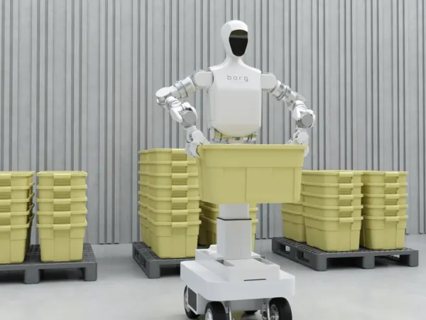 Borg 01 7