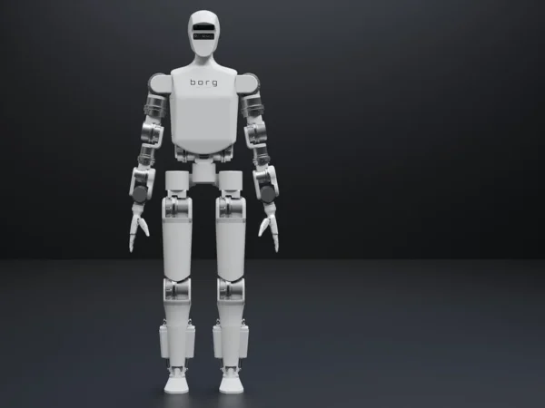 Borg 01 8