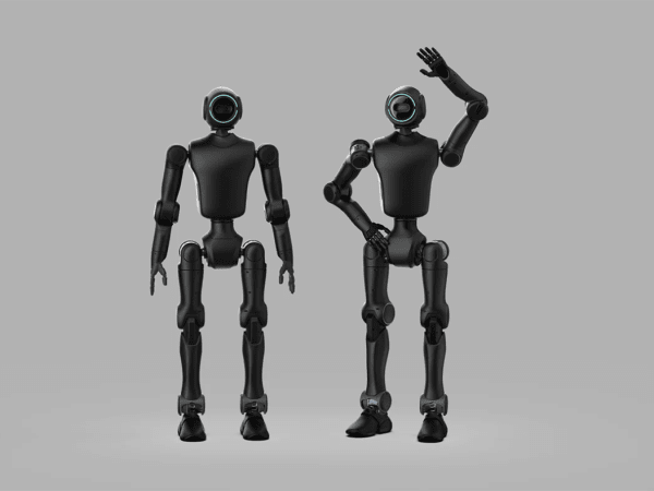 Phybot C1 2