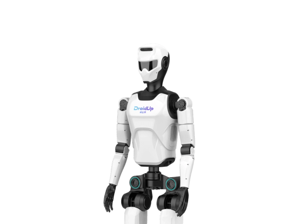 Walker II (02) 6