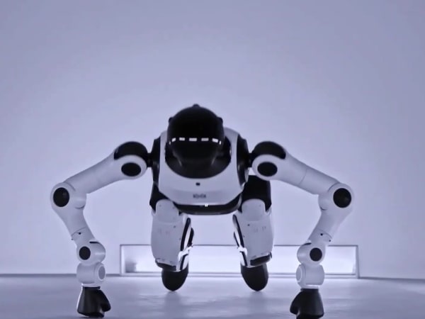 Embodied Tien Kung 3.0 7
