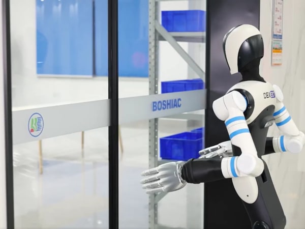 DexBot 6