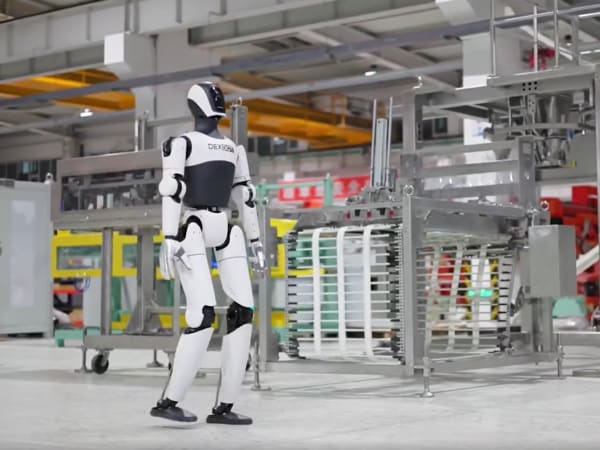DexBot 5