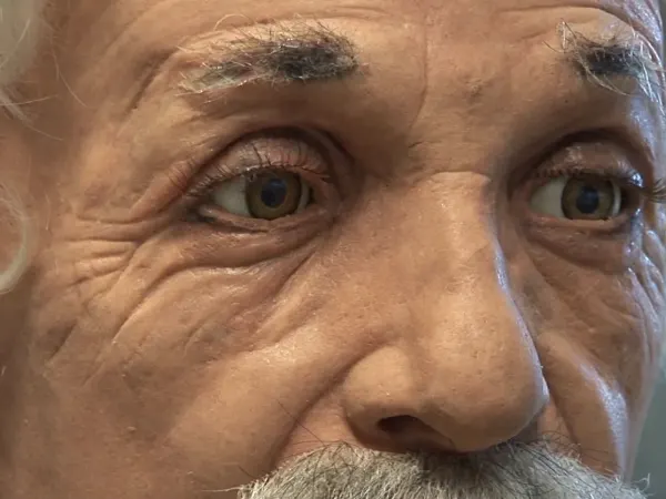 Professor Einstein 1