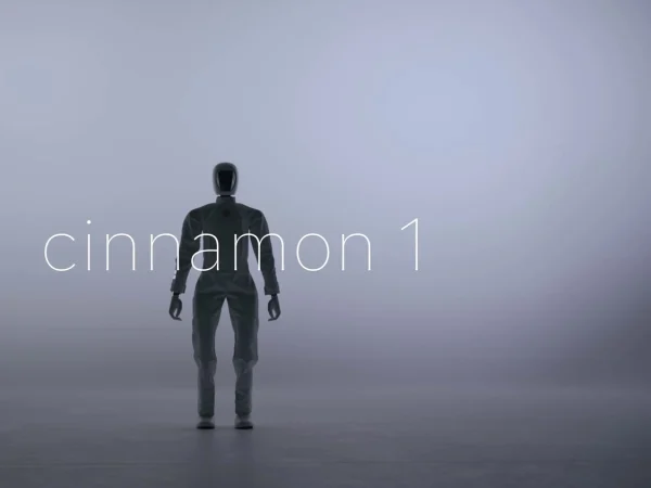 Cinnamon 1