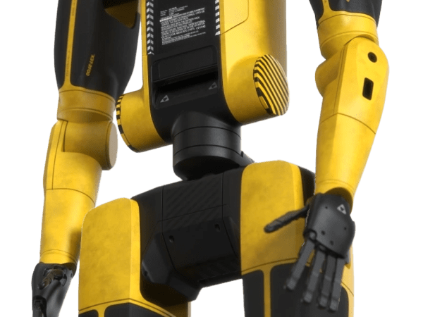 Persona Humanoid 2