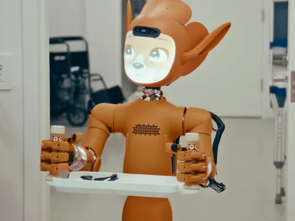 Mirokaï 1