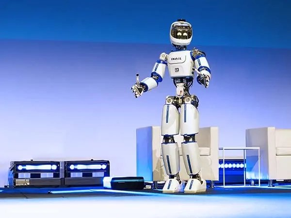 ErgoCub Humanoid Robot 2