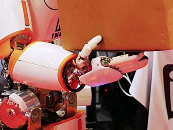 ErgoCub Humanoid Robot 4