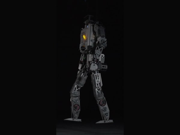 Roger 7