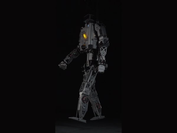 Roger 8