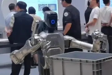 Cruzr Y1
