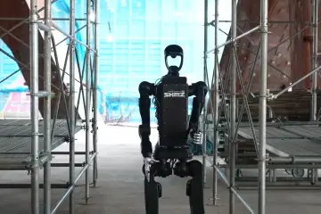 Shimizu Humanoid