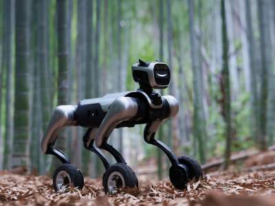 MagicDog-W