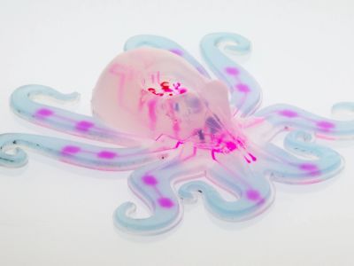 Octobot - Read latest news Octobot