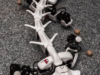Pleurobot - Read latest news Pleurobot