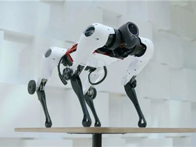 Tencent Robotics X - Manufacturer of innovative robot models