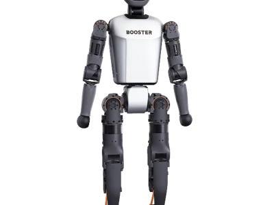 T1 Basic Humanoid