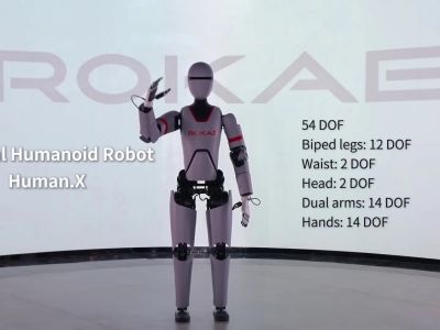 Human.X - ROKAE robot model