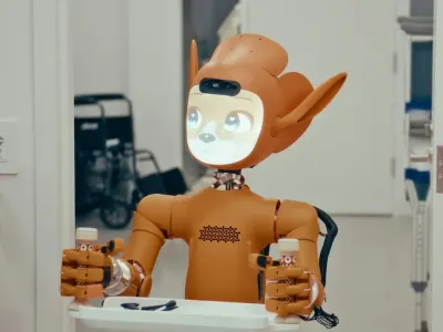 Mirokaï