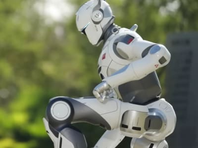 T800 3
