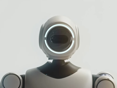 Phybot C1 1