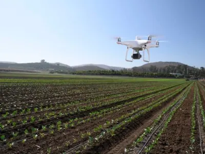 DJI P4 Multispectral 4