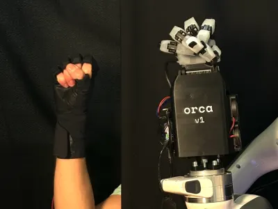 ORCA Hand 4
