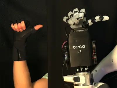 ORCA Hand 5