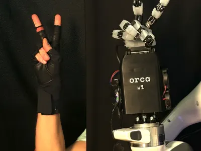 ORCA Hand 6
