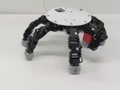 Bimodal Crawling Hand 7