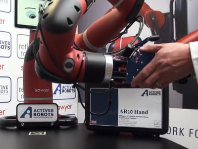 AR10 Hand 3