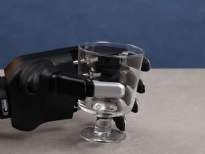 DH-5-6 Dexterous Hand 2
