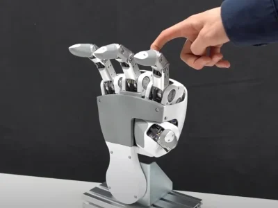 Torobo Hand 1